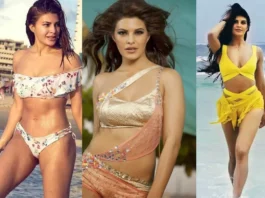 jacqueline fernandez