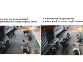 Animal Viral Video