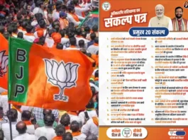 Haryana Assembly Election 2024