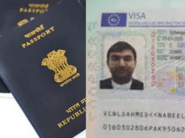 Passport News