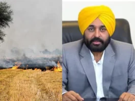 Punjab News