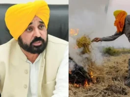 Punjab News