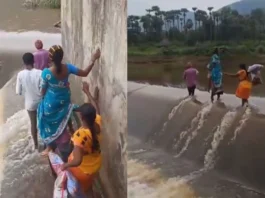 Viral Video