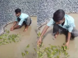 Viral Video