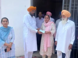punjab news