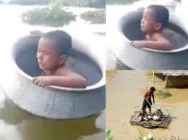Bihar Flood Viral Video