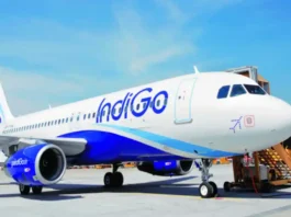 Indigo