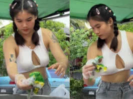 Thailand Street Food