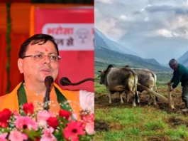 Uttarakhand News