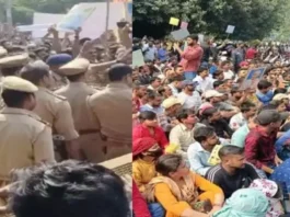 UP News
