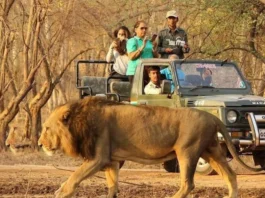Best Safari Destination In 2025