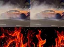 Lamborghini Viral Video