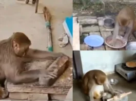 Raebareli Viral Video