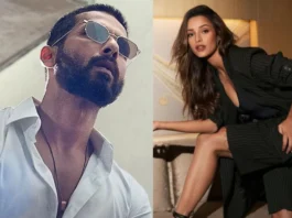 Shahid Kapoor Tripti Dimri