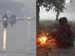 कल का मौसम 11 Jan 2025