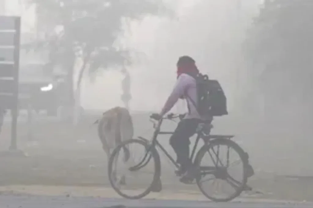 कल का मौसम 13 Jan 2025