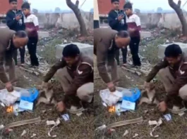 Bulandshahr Viral Video