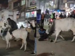 Gwalior Viral Video