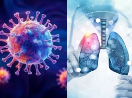HMPV Virus