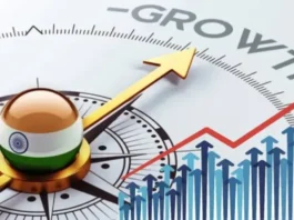 Indian Economy 2025
