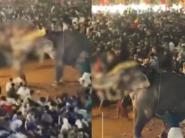 Kerala Viral Video