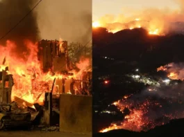 Los Angeles Wildfire