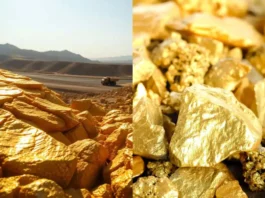 Pakistan Gold Reserves