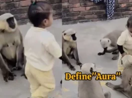 Viral Video