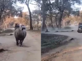 Viral Video