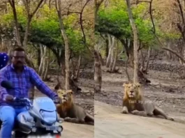 Viral Video