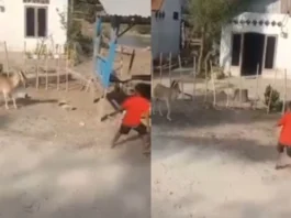 Viral Video