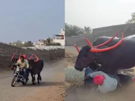 Viral Video
