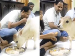 Viral Video