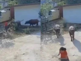 Viral Video