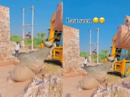 Viral Video