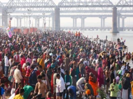 Maha Kumbh Stampede