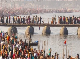 Maha Kumbh Pipa Bridge
