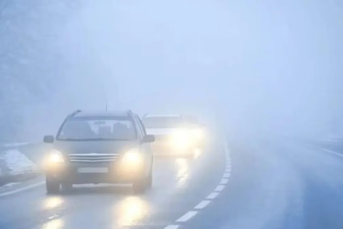 आज का मौसम 29 January 2025