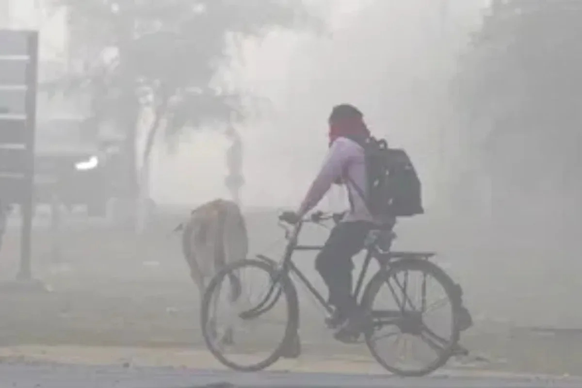 कल का मौसम 13 Jan 2025