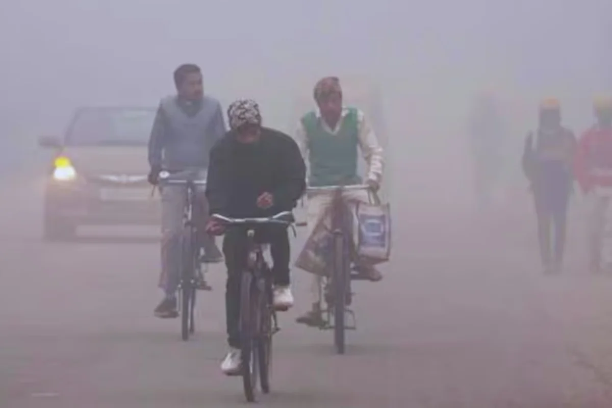 कल का मौसम 19 Jan 2025