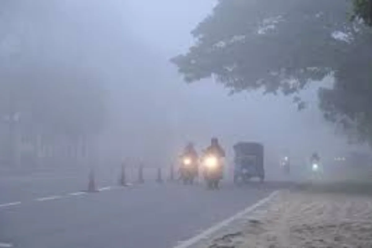 कल का मौसम 20 Jan 2025