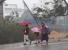 कल का मौसम 23 Feb 2025