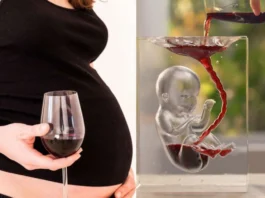Alcohol During Pregnancy