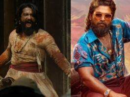 Chhaava Box Office Collection Day 14