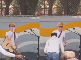 Ed Sheeran Viral Video