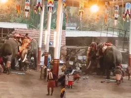 Kerala Viral Video