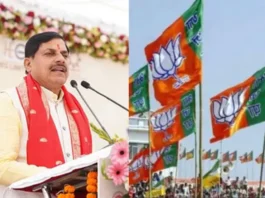 MP News