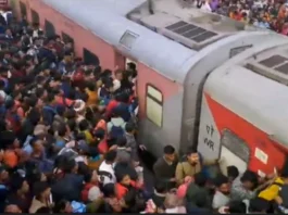 Maha Kumbh 2025 Viral Video