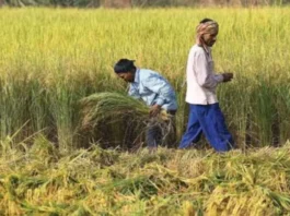 PM Kisan Yojana