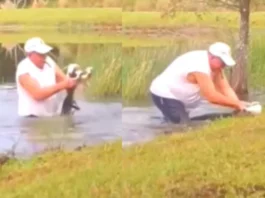 Viral Video